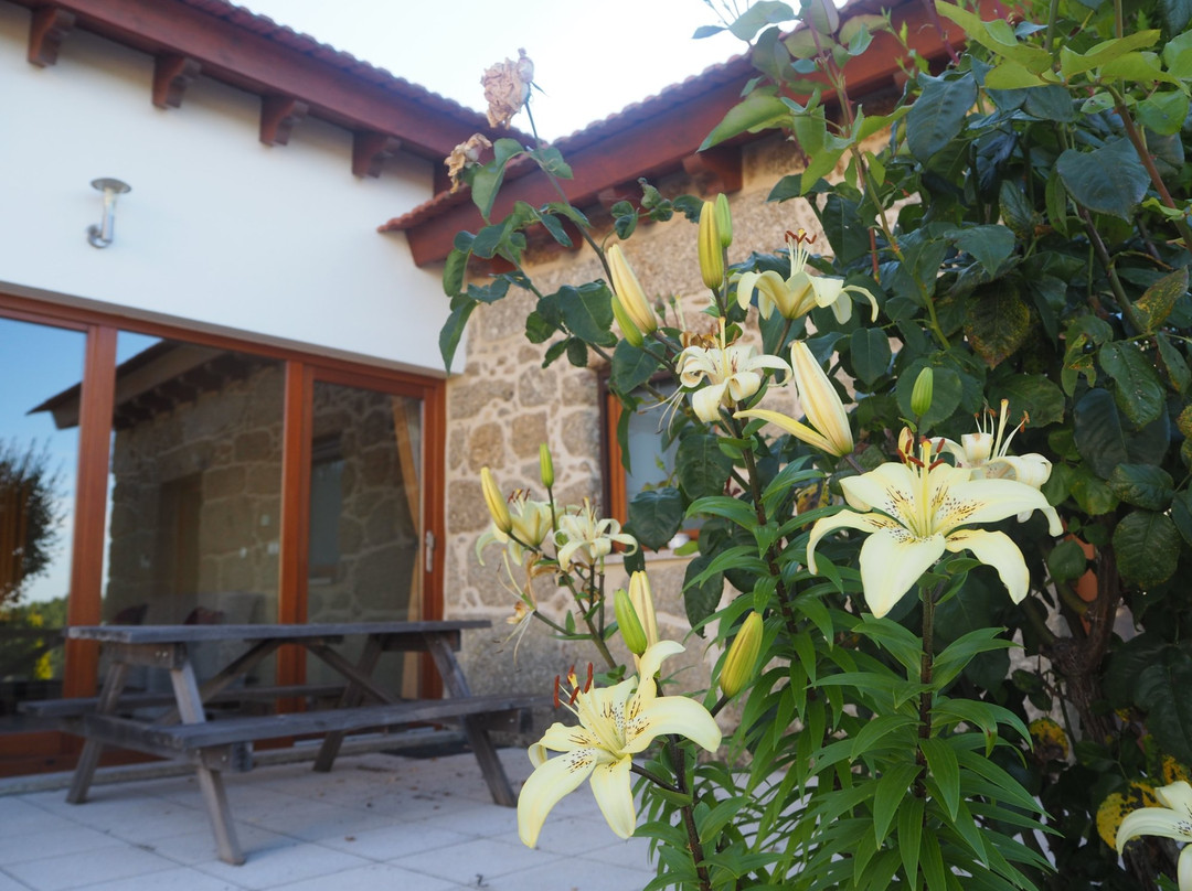 B&B Quinta Vale Porcacho主图