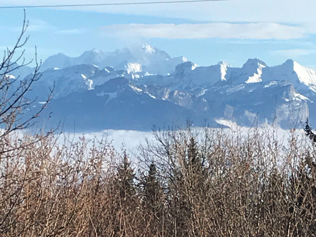 Monnetier-Mornex旅游攻略图片