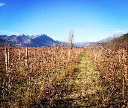 Podrum Grmoja-Kobiljaca必去景点