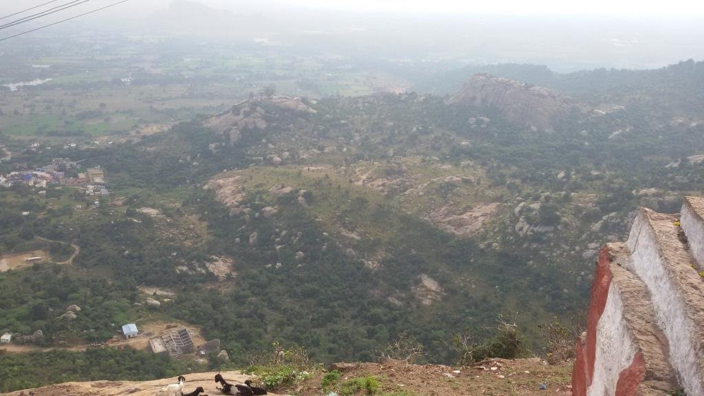 Arulmigu Sri Yoga Anjaneya Temple景点图片