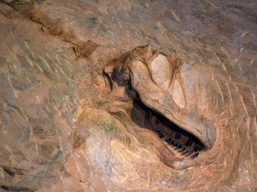 Dinosaur National Monument-Jensen必去景点