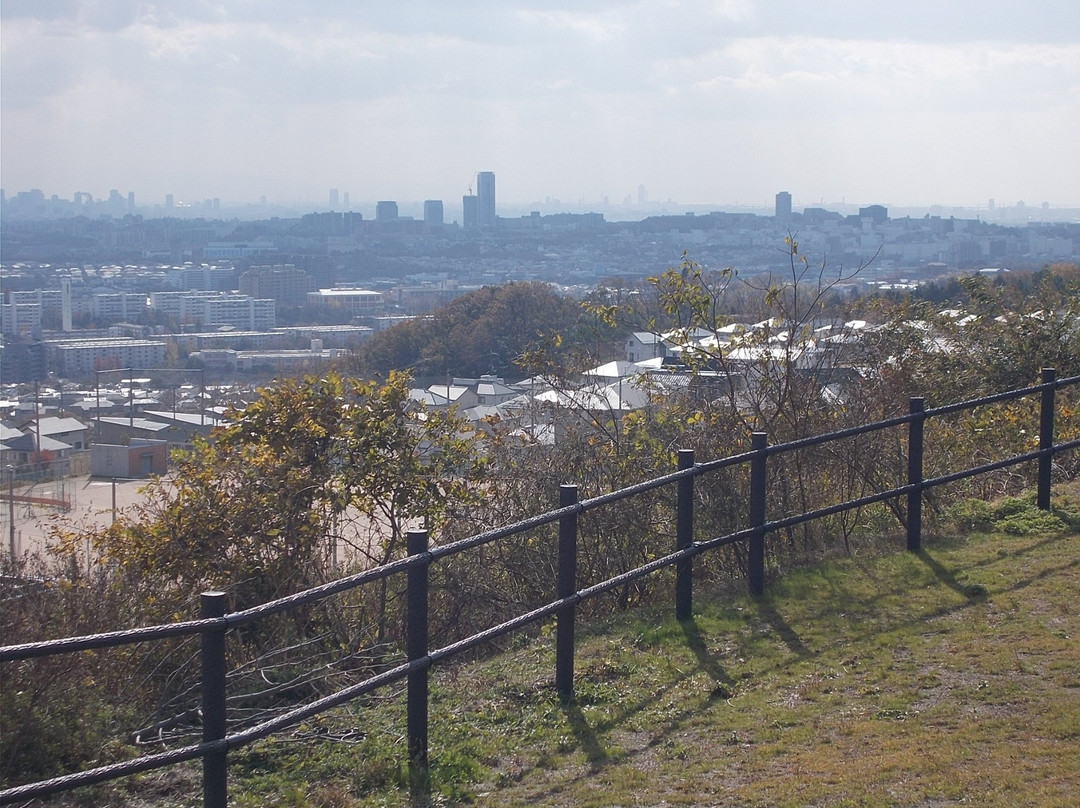 Saito Nanairo Park-美浓市必去景点