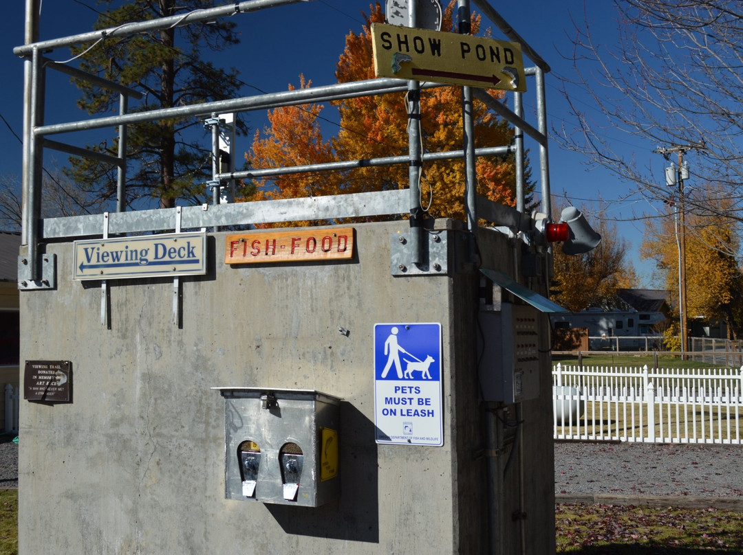 Klamath Fish Hatchery-克拉马斯福尔斯必去景点