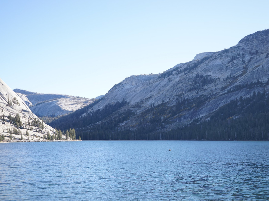 Cathedral Lake Trail-优胜美地国家公园必去景点