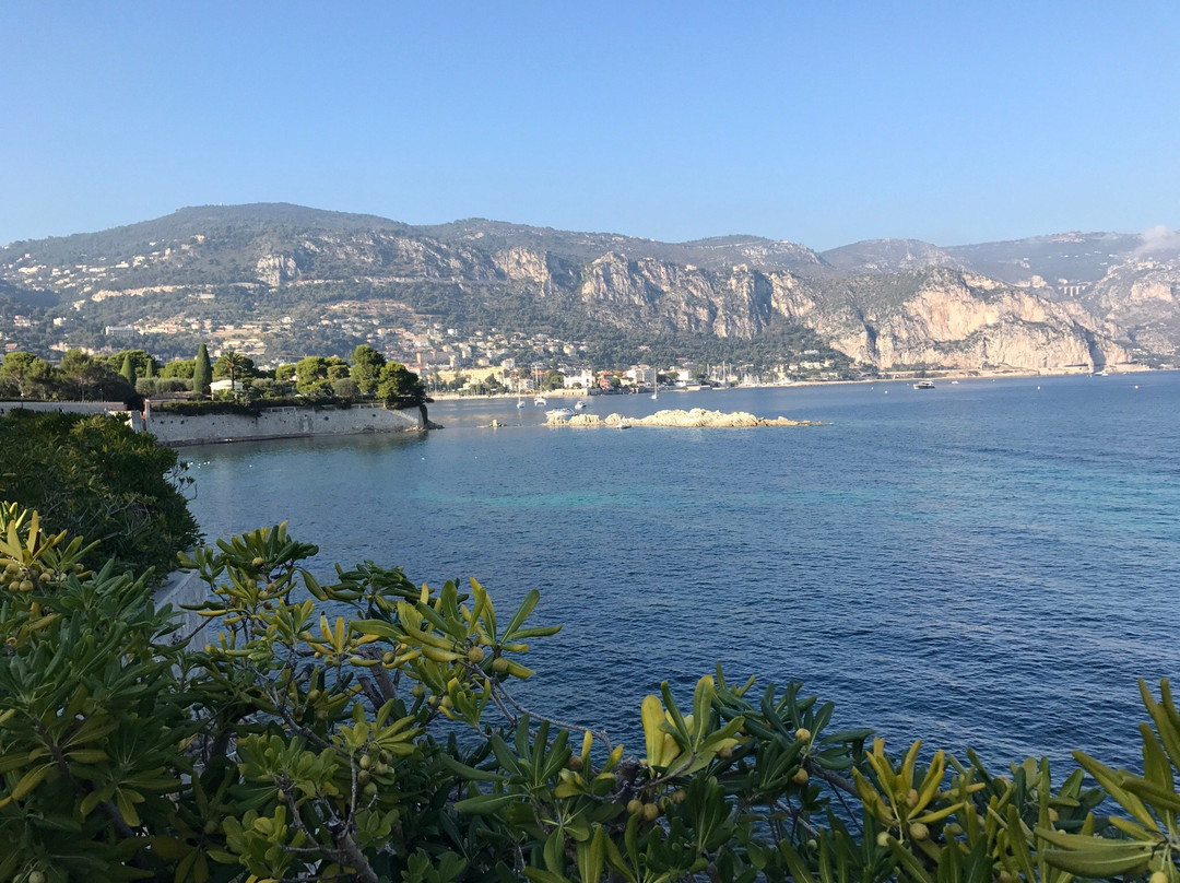 Plage des Fourmis景点图片