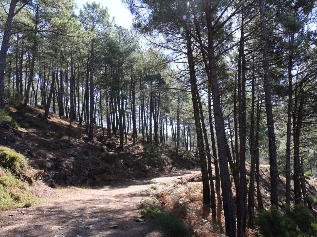 Parque Natural do Alvão景点图片