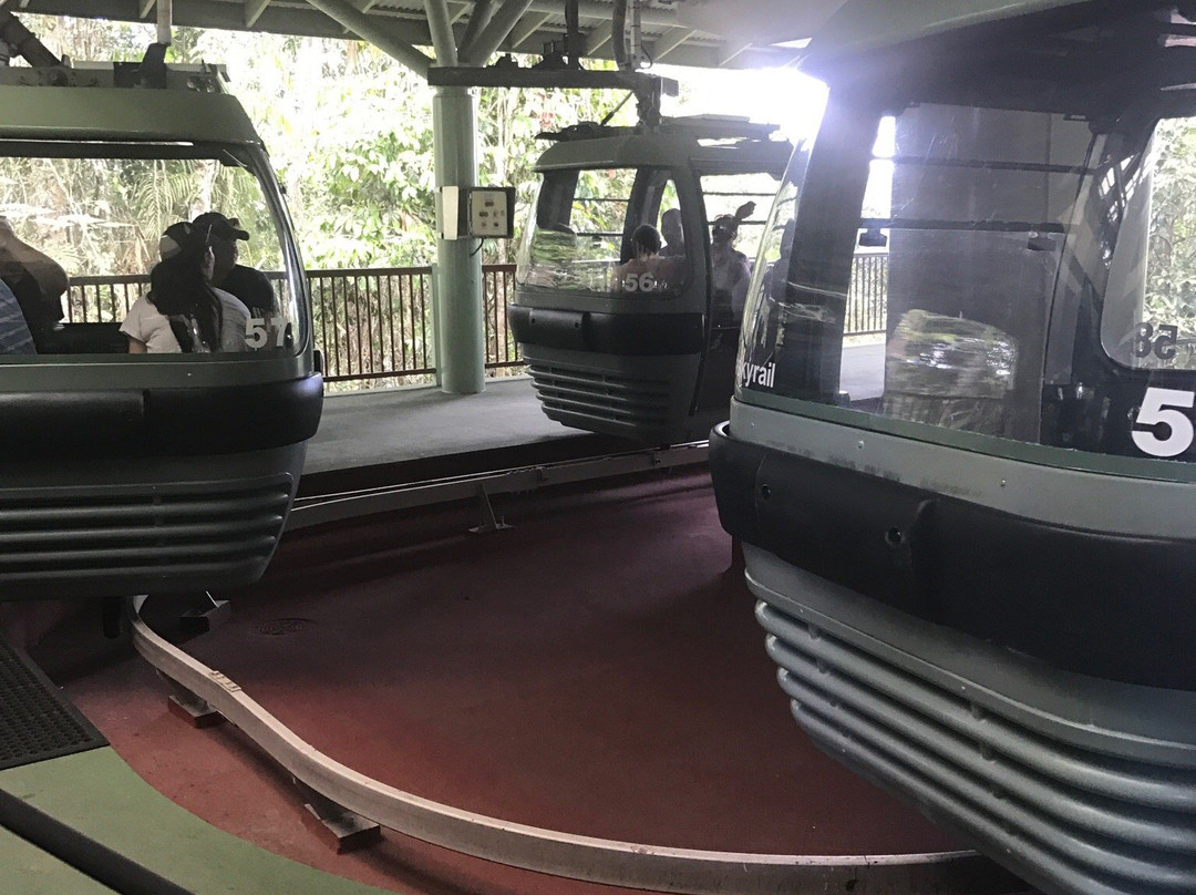 Cairns Tableland Tours景点图片
