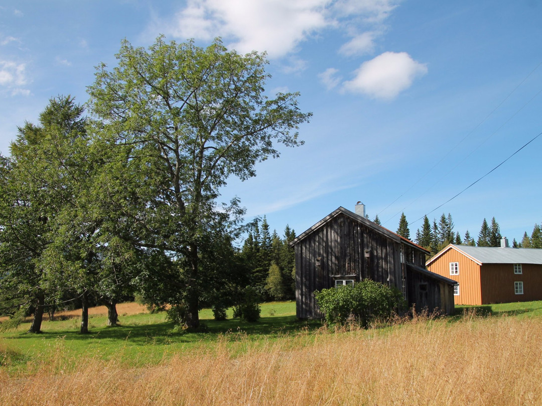 Helgeland Museum Avdeling Bindal景点图片