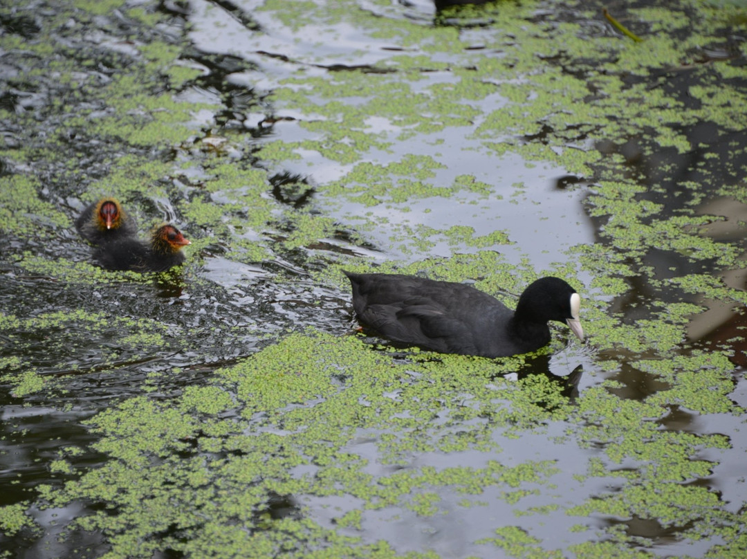 Canal Hopper Delft-代尔夫特必去景点