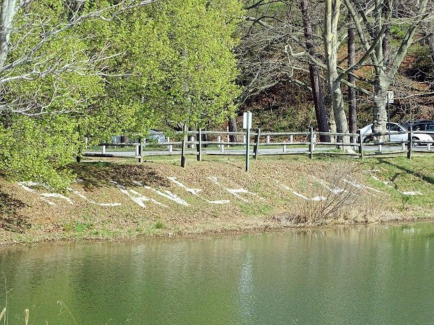 Beaver Lake-阿什维尔必去景点