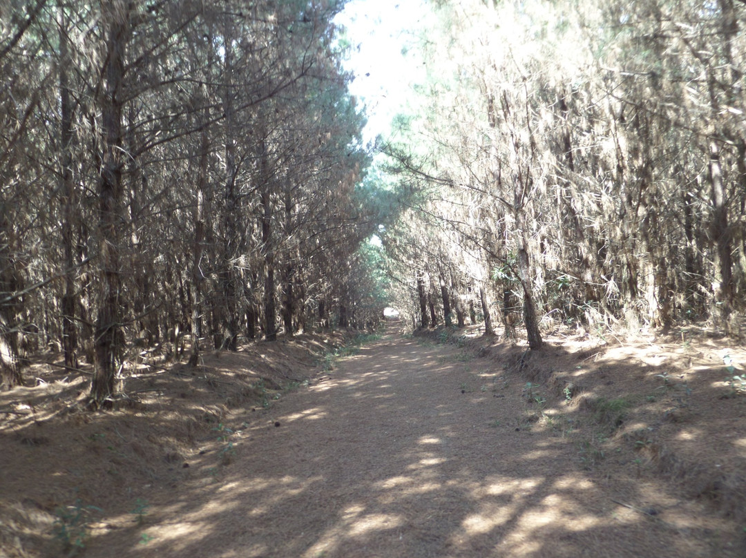 Poco do Encanto-森热斯必去景点