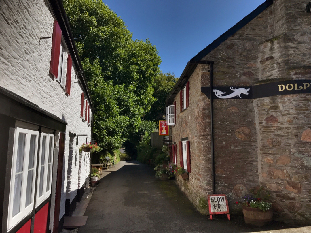 The Dolphin Inn Pub and B&B景点图片