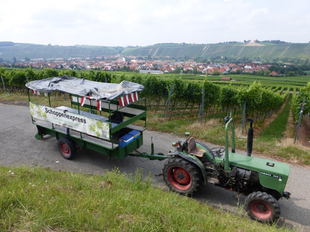 Weingut Otmar Zang景点图片