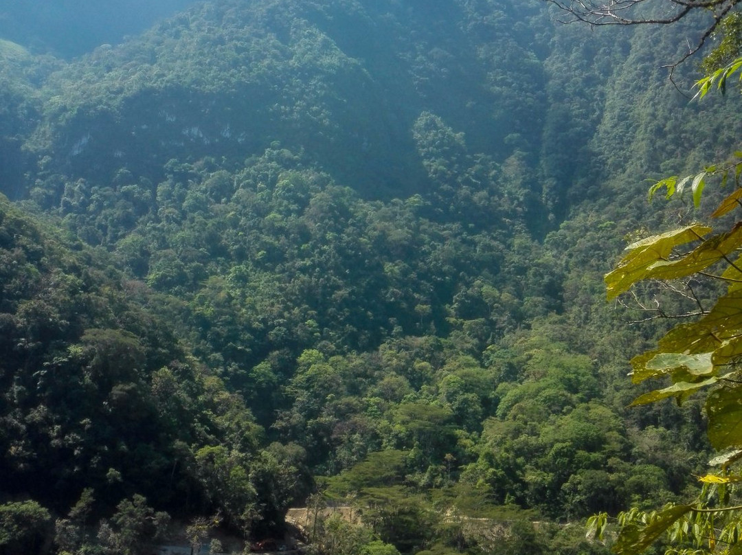 Pampa Hermosa National Sanctuary-San Ramon必去景点