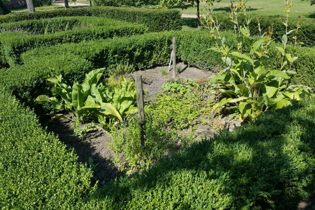 Klostergarten景点图片