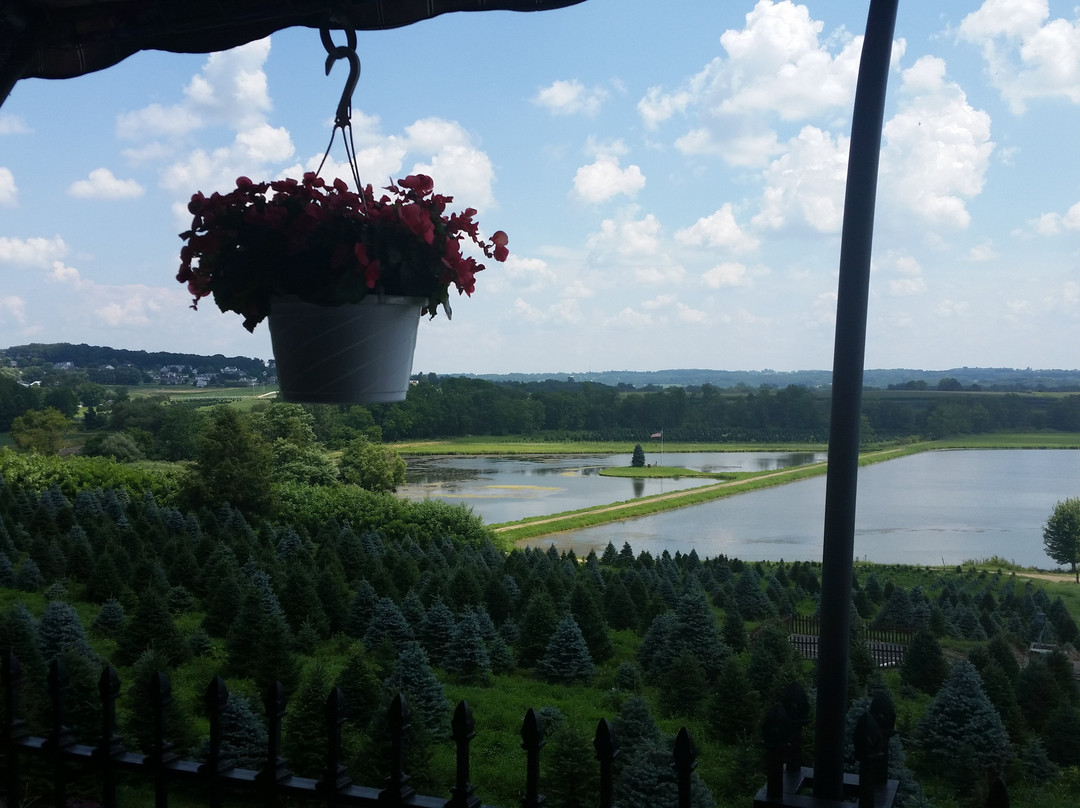 Pine Tree Barn-Wooster必去景点