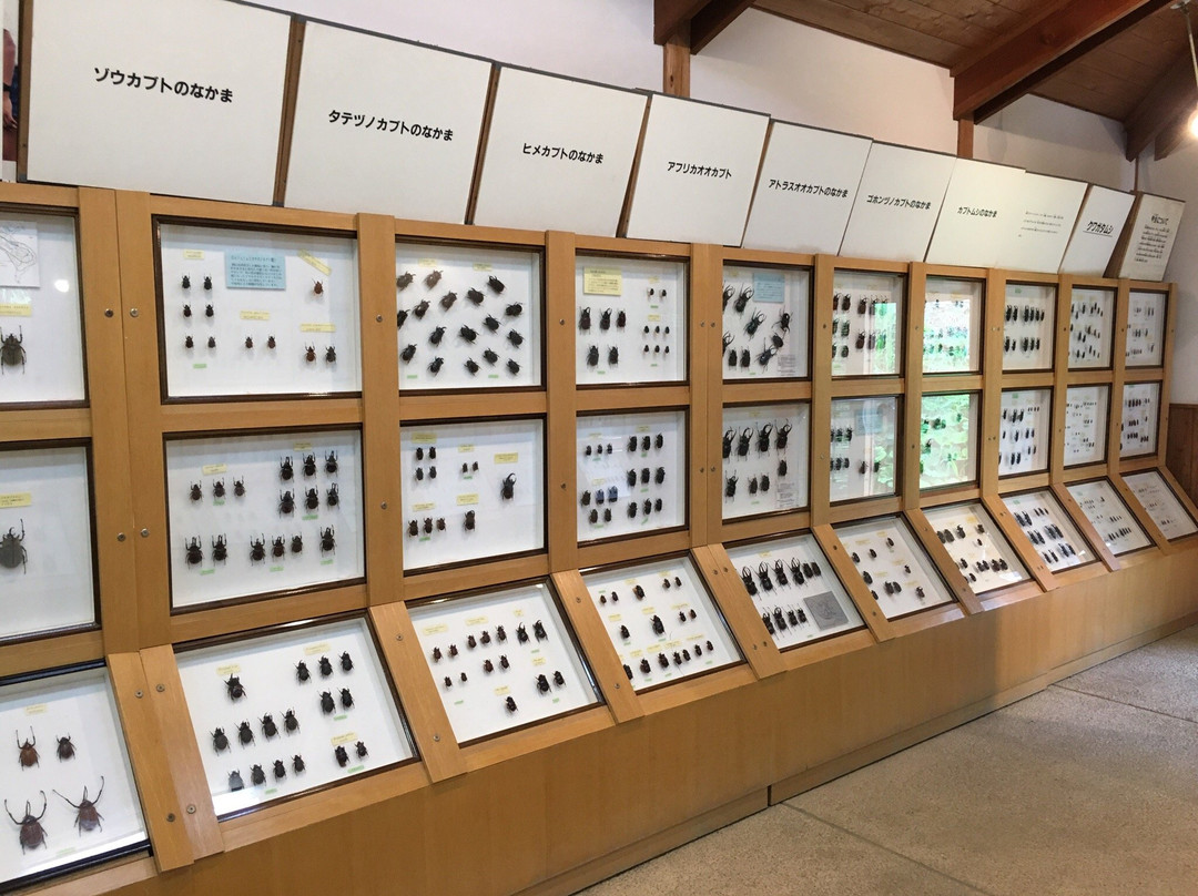 Beetle Natural Kingdom Mushimushi Land-田村市必去景点