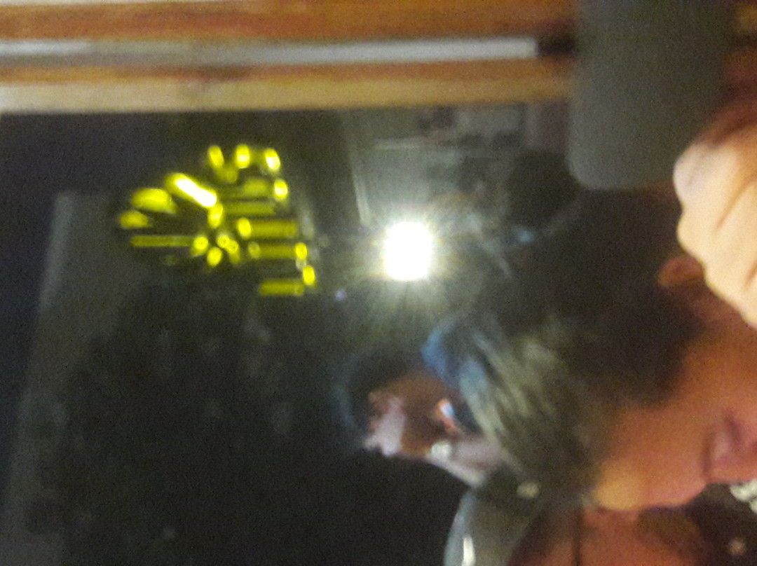 Lotus Disco Bar-宿雾市必去景点