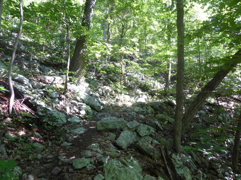 Elizabeth Furnace Recreation Area-Fort Valley必去景点