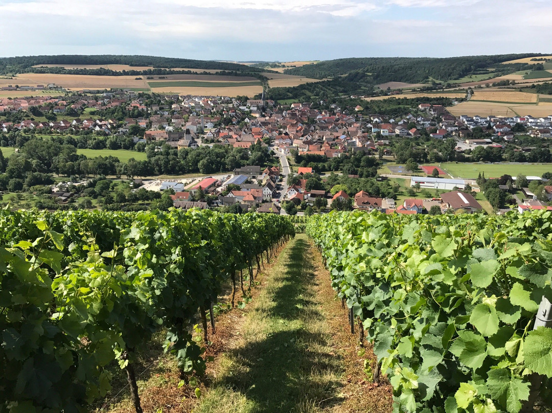 Weingaertner Markelsheim景点图片