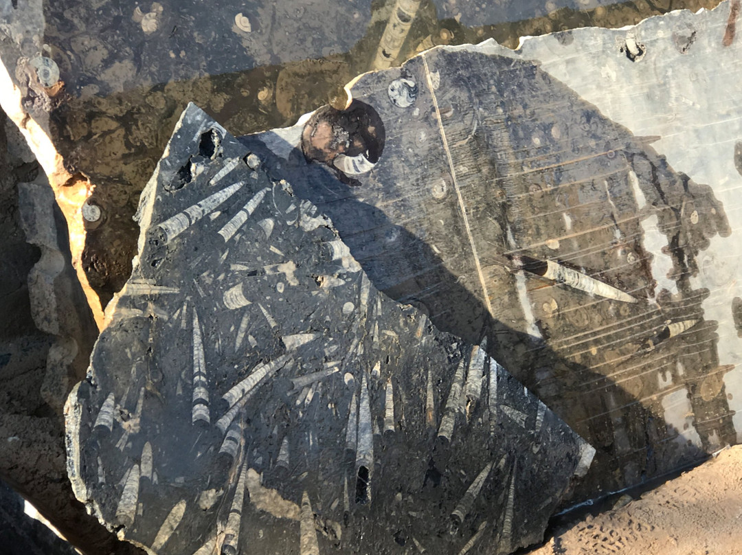 Rissani旅游景点-Mezane Fossil Store