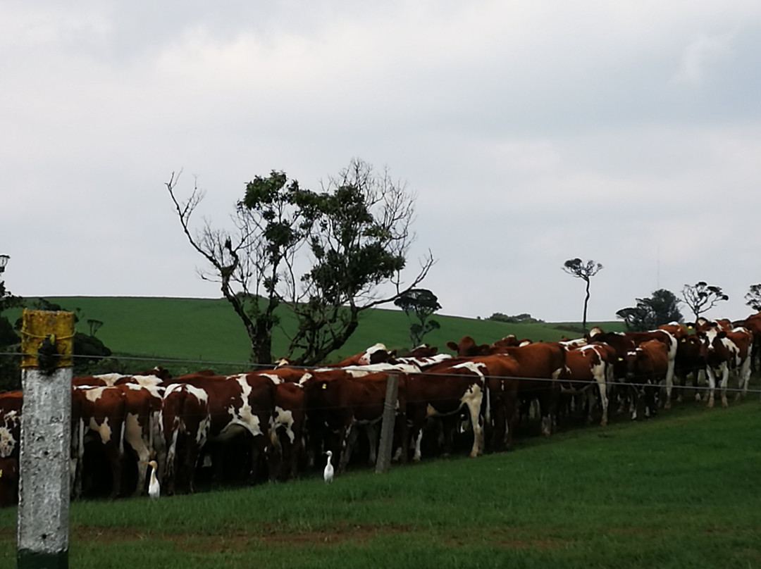 Ella Tours-埃勒必去景点