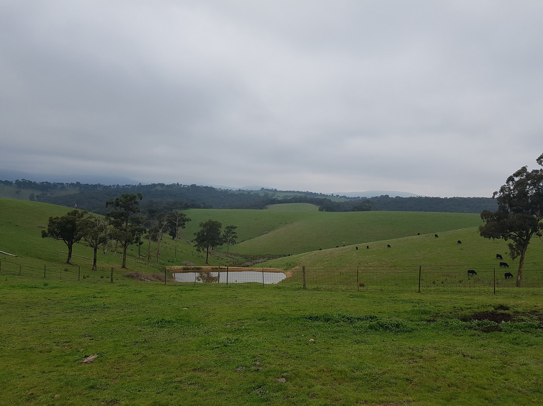 Shaws Road Winery-Arthurs Creek必去景点