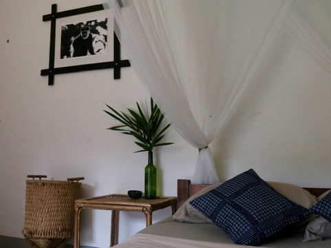 Nouabale-Ndoki National Park-Sangha Department必去景点