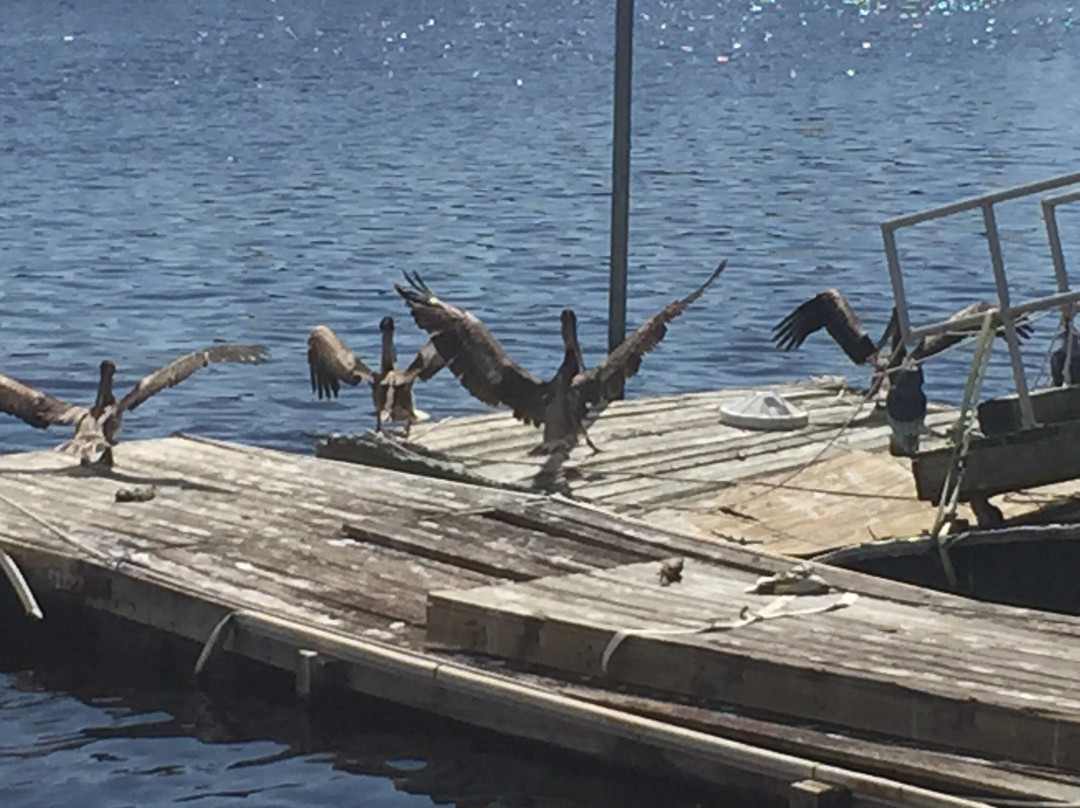 River Inn and Marina主图