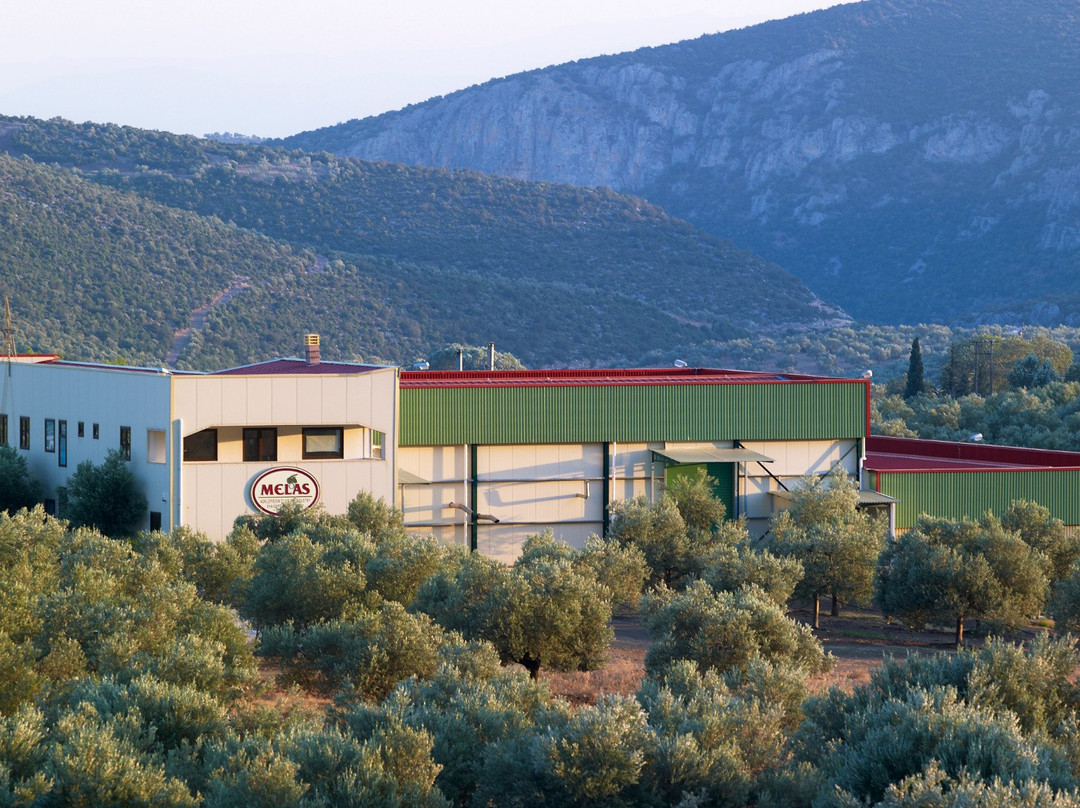 Melas - Epidavrus Olive Oil Domain景点图片