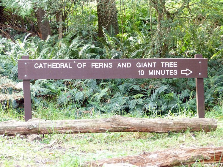 Cathedral of Ferns Walk景点图片