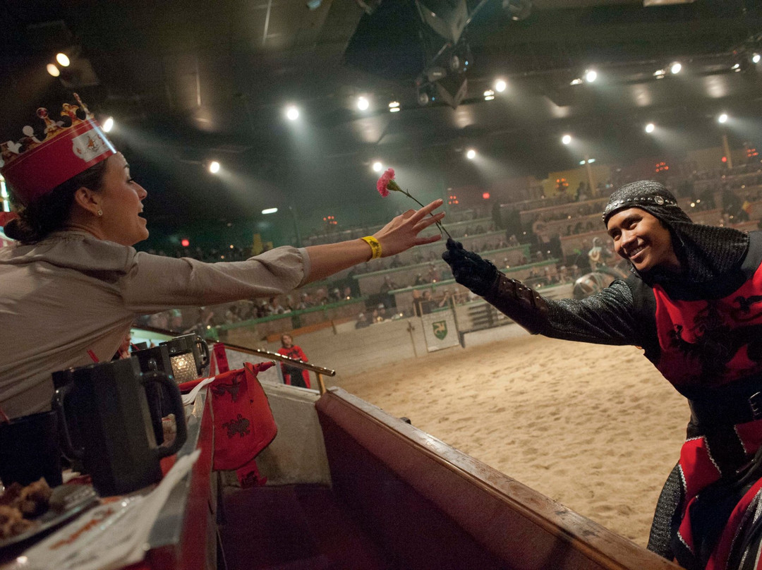 Medieval Times Buena Park-普安那公园必去景点