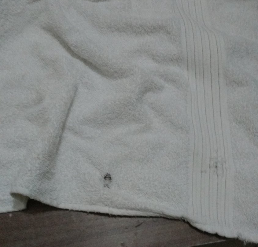 Oyster Airport Hotel主图