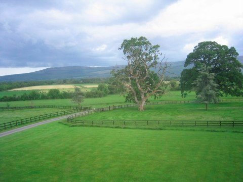 Lismacue House-酒店景观