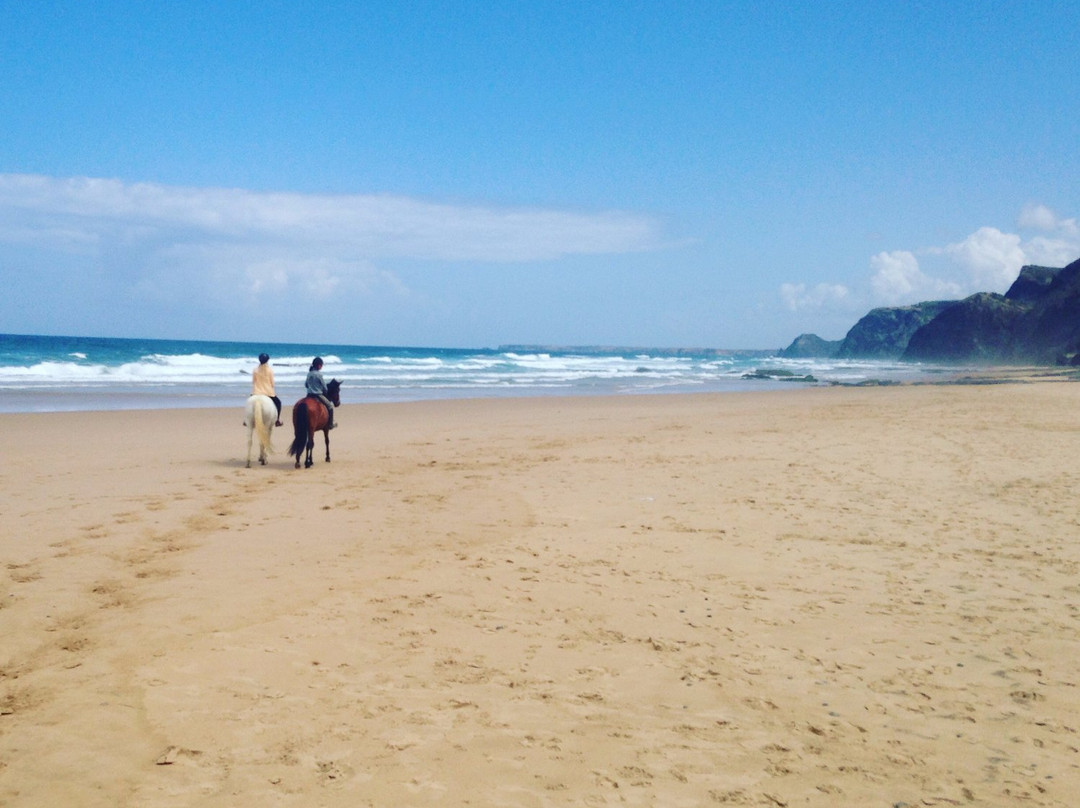 Equivicentinos-Vila do Bispo必去景点