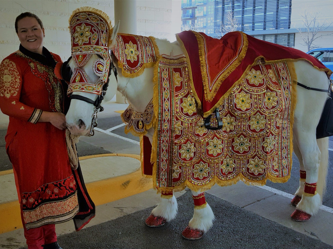 Fantasia Carriage-Lago Vista必去景点