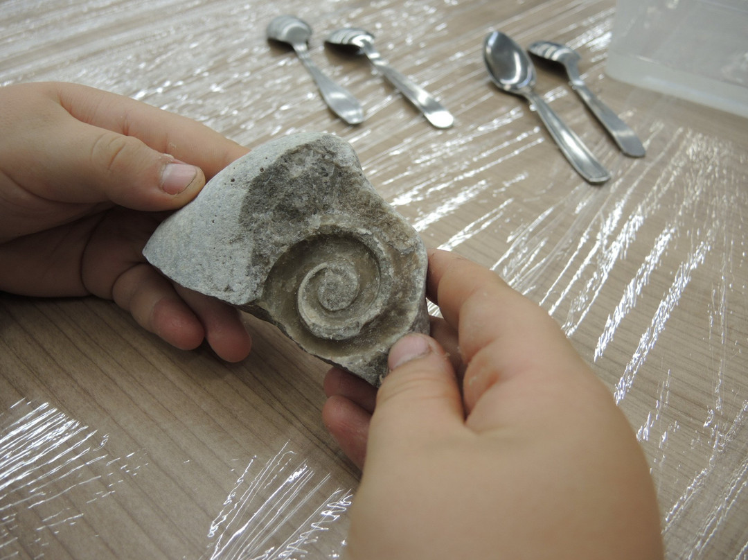 Muzeum Geologiczne Wydziału Nauk o Ziemi Uniwersytetu Szczecińskiego-什切青必去景点