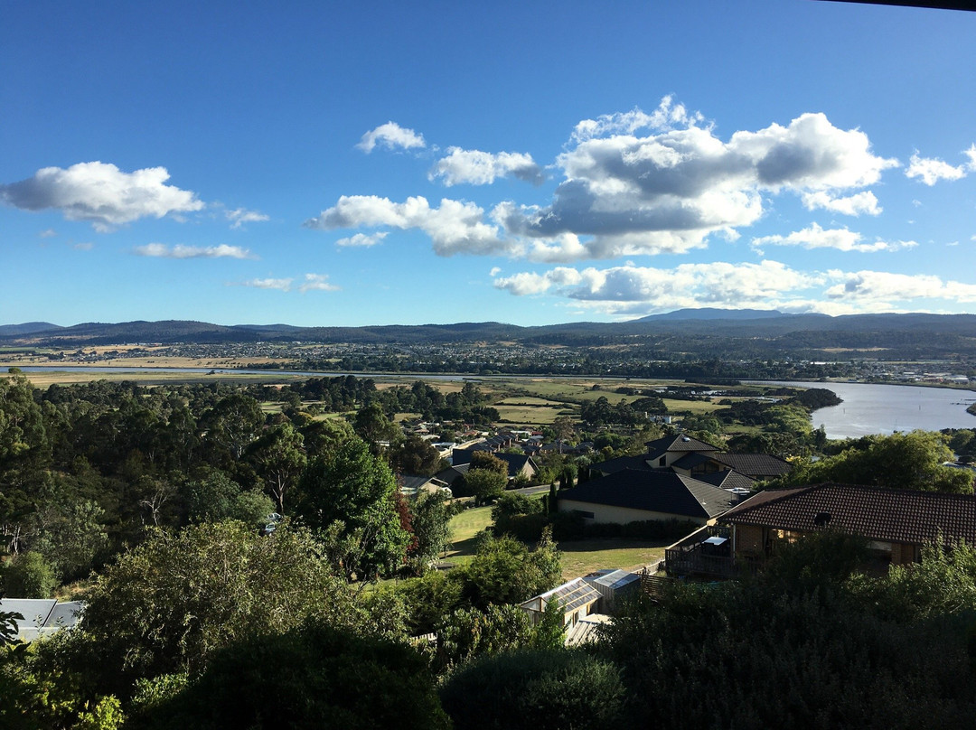 Protea Hill