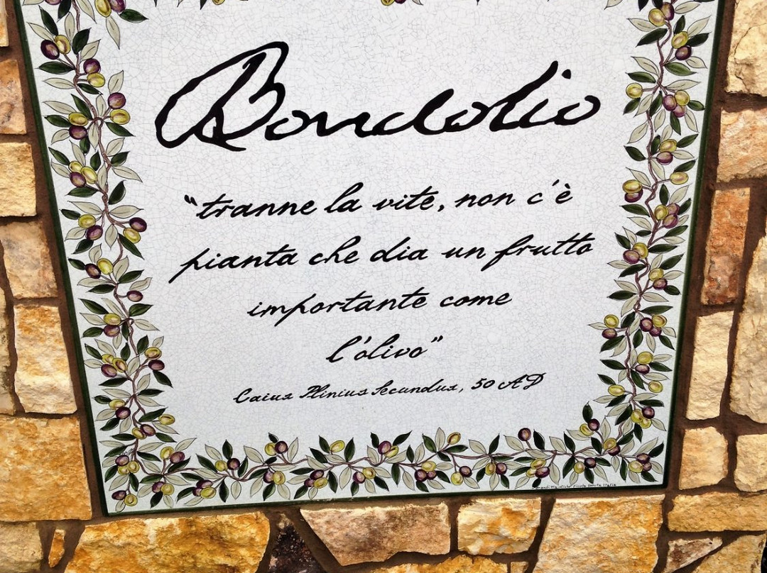 Bondolio Olive Oil Farm-Winters必去景点