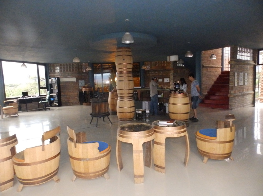 Las Arcas de Tolombon Vinedos & Bodega景点图片