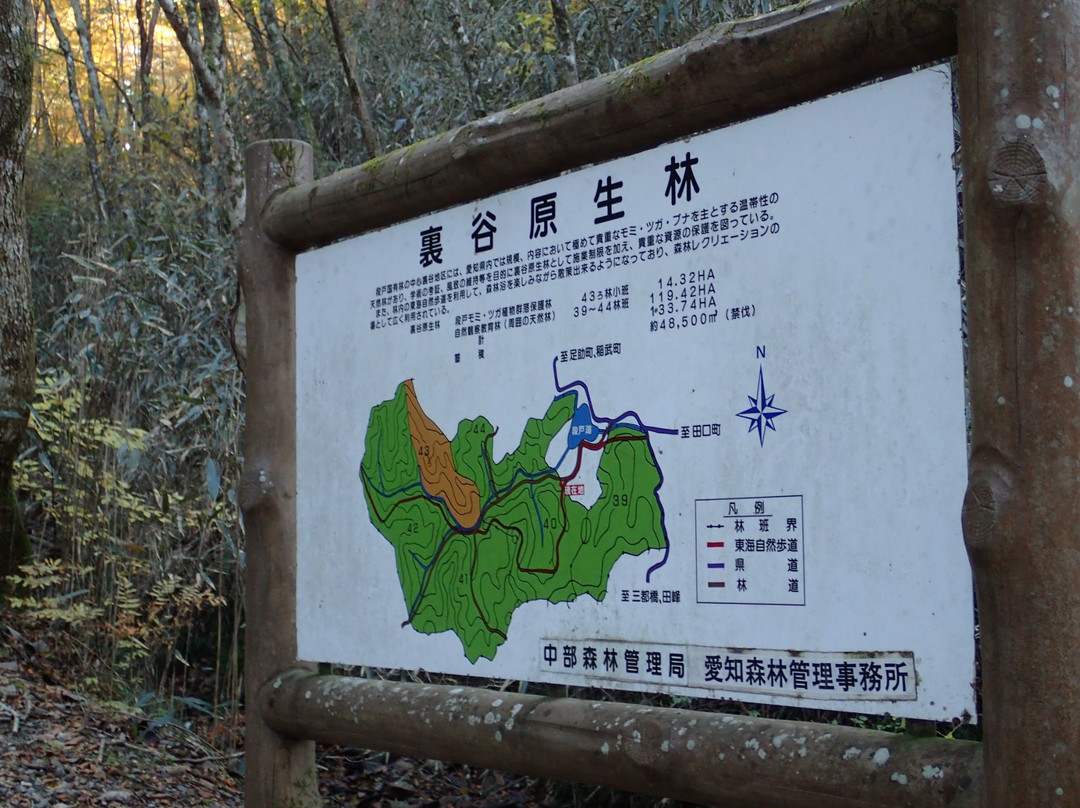 Kirara no Mori景点图片