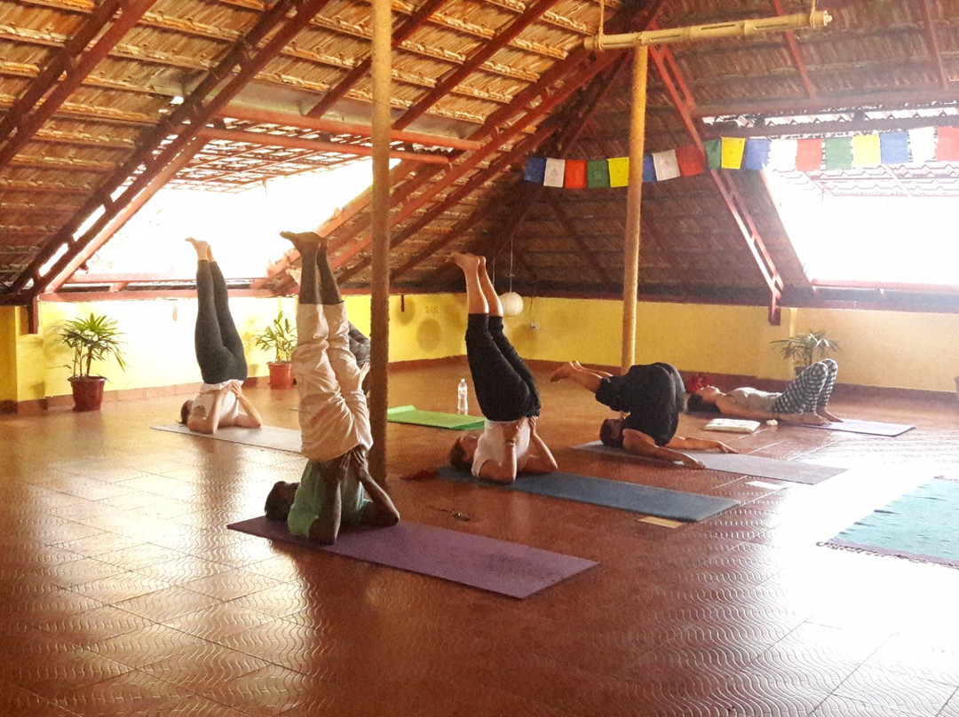 Sivananda Yoga Vedanta Centre景点图片