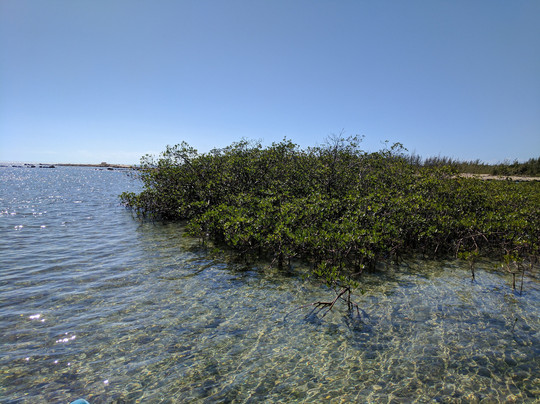 Ultimate Tours Bahamas-拿骚必去景点