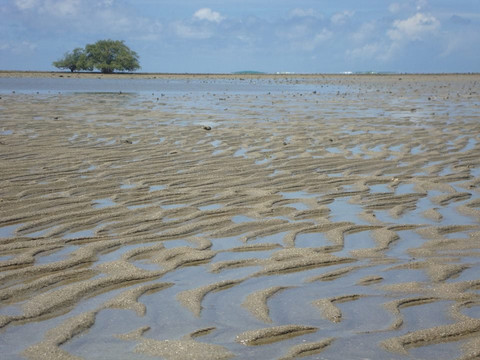 Coroa Vermelha Island-Nova Vicosa必去景点