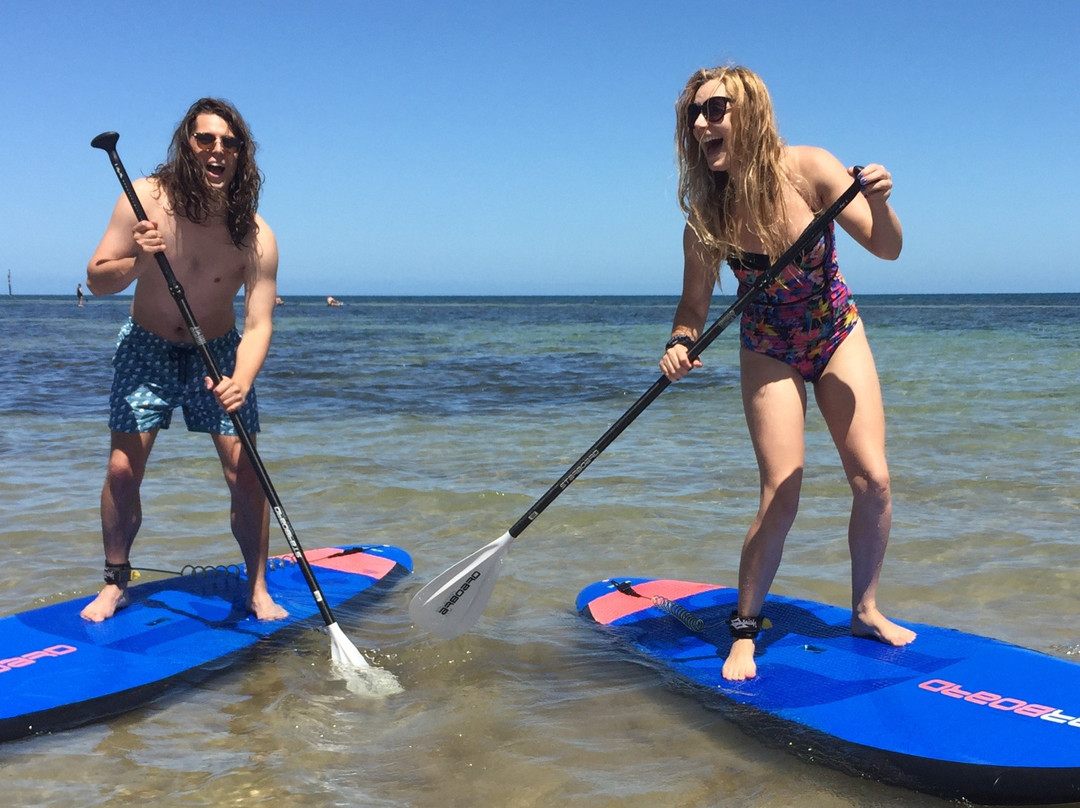 Stand Up Paddle SA-阿德莱德必去景点