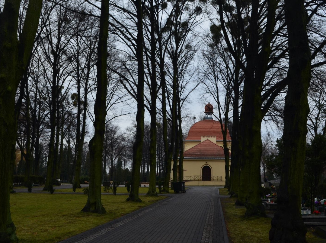 Central Cemetary of Gliwice景点图片