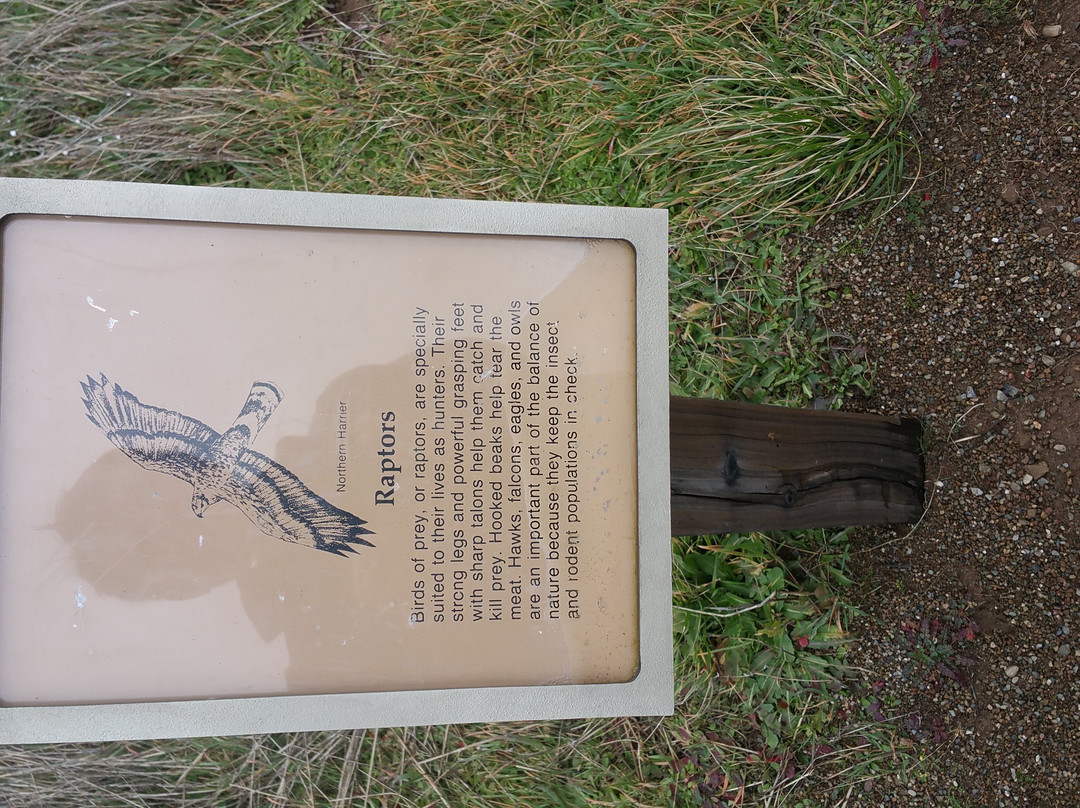 Monte Bello Open Space Preserve-帕罗奥多必去景点