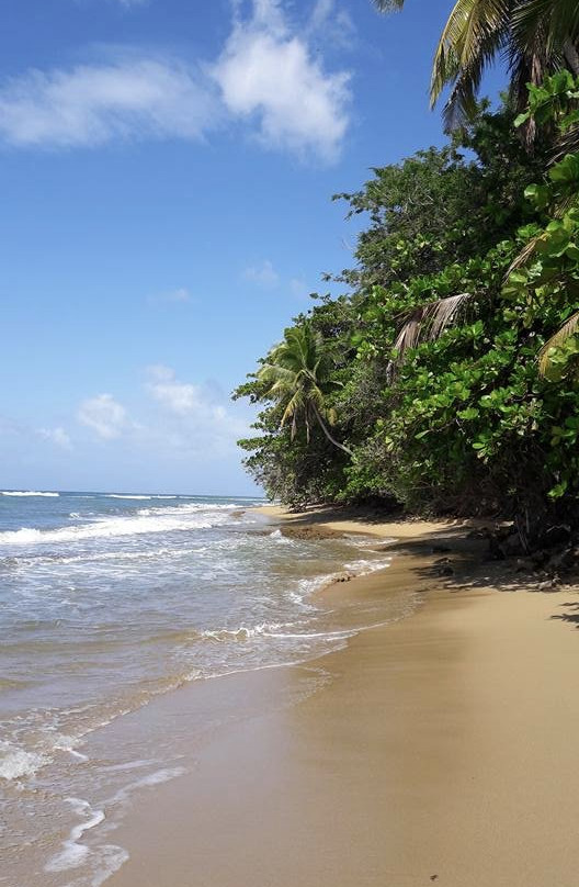 Puntas Surf School-吕康必去景点