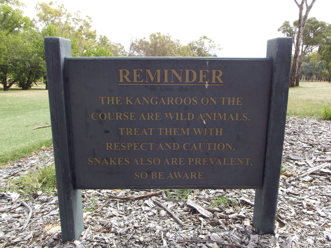 Federal Golf Club-堪培拉必去景点