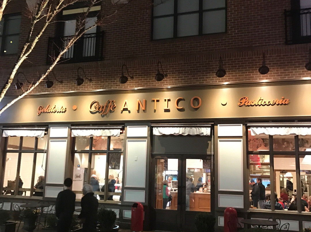 Caffe Antico